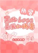 黑化BOSS是我小娇妻[快穿]